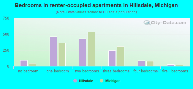 Bedrooms in renter-occupied apartments in Hillsdale, Michigan