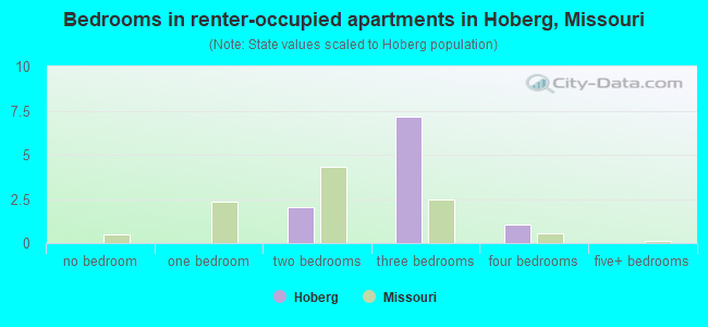 Bedrooms in renter-occupied apartments in Hoberg, Missouri