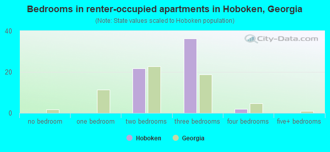 Bedrooms in renter-occupied apartments in Hoboken, Georgia