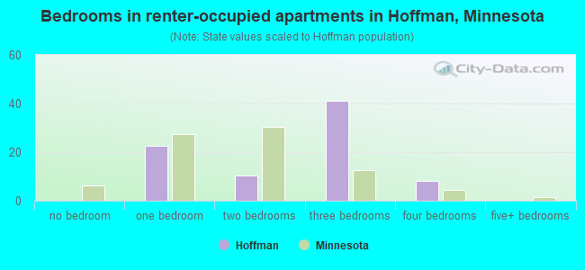 Bedrooms in renter-occupied apartments in Hoffman, Minnesota
