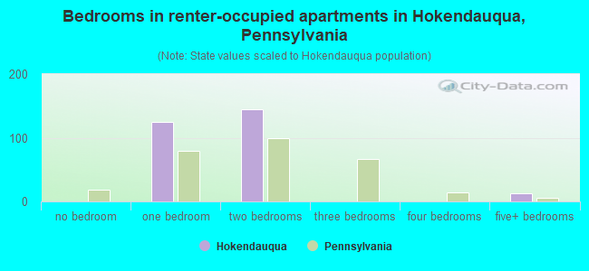 Bedrooms in renter-occupied apartments in Hokendauqua, Pennsylvania