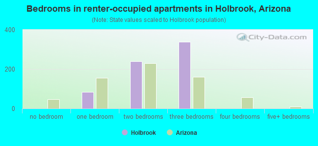 Bedrooms in renter-occupied apartments in Holbrook, Arizona