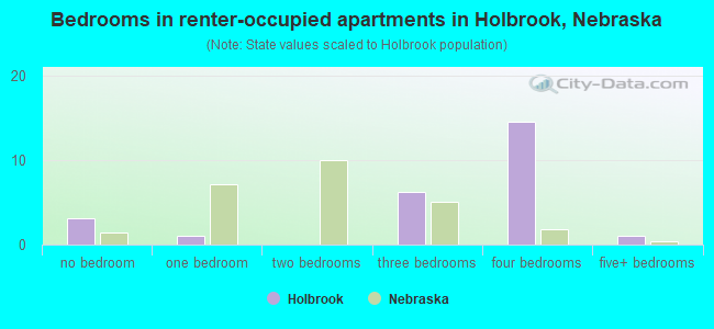 Bedrooms in renter-occupied apartments in Holbrook, Nebraska
