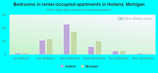 Bedrooms in renter-occupied apartments in Holland, Michigan