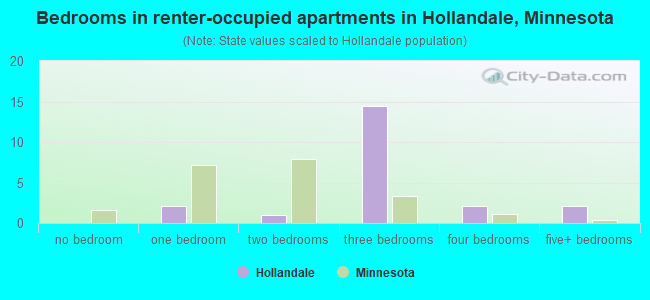 Bedrooms in renter-occupied apartments in Hollandale, Minnesota