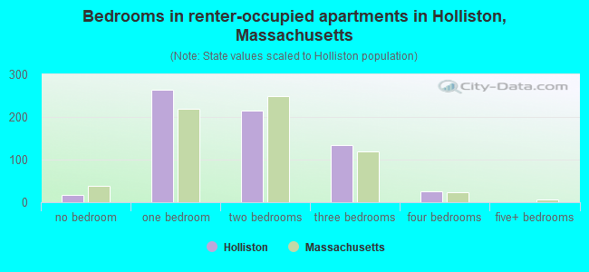 Bedrooms in renter-occupied apartments in Holliston, Massachusetts