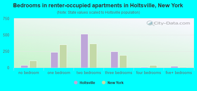 Bedrooms in renter-occupied apartments in Holtsville, New York