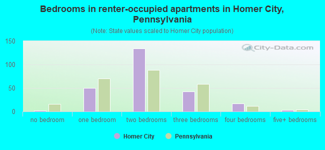 Bedrooms in renter-occupied apartments in Homer City, Pennsylvania