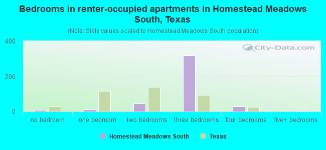 Bedrooms in renter-occupied apartments in Homestead Meadows South, Texas