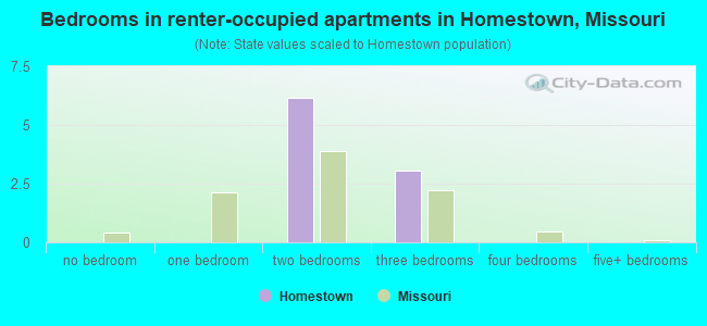 Bedrooms in renter-occupied apartments in Homestown, Missouri