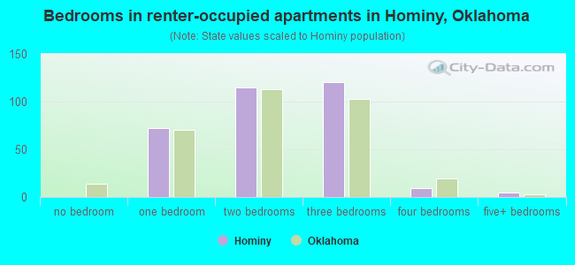Bedrooms in renter-occupied apartments in Hominy, Oklahoma