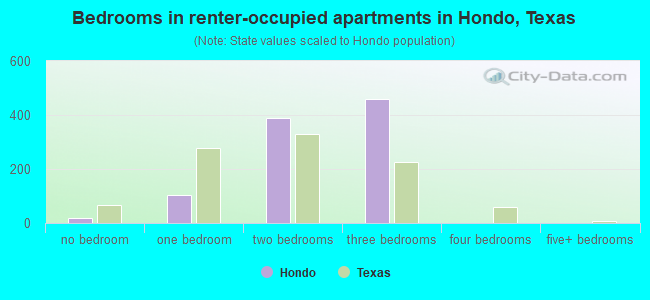 Bedrooms in renter-occupied apartments in Hondo, Texas
