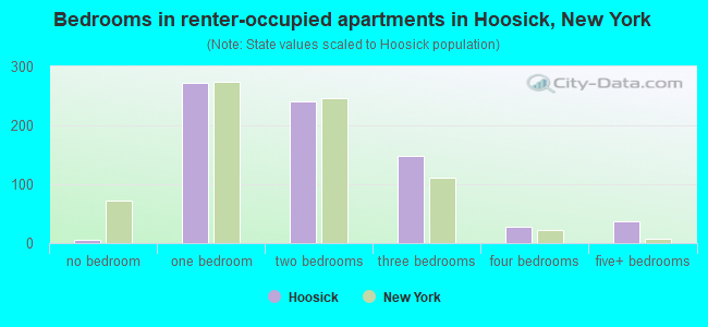 Bedrooms in renter-occupied apartments in Hoosick, New York