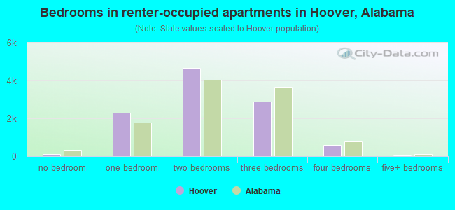 Bedrooms in renter-occupied apartments in Hoover, Alabama