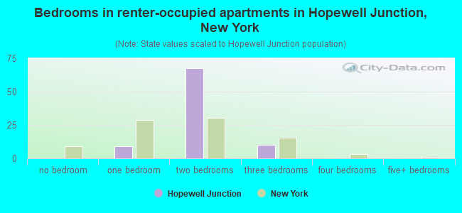 Bedrooms in renter-occupied apartments in Hopewell Junction, New York