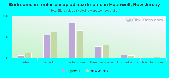 Bedrooms in renter-occupied apartments in Hopewell, New Jersey