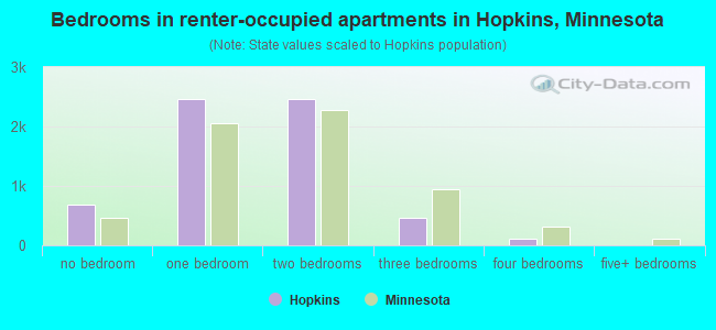 Bedrooms in renter-occupied apartments in Hopkins, Minnesota