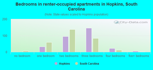 Bedrooms in renter-occupied apartments in Hopkins, South Carolina