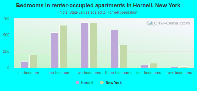 Bedrooms in renter-occupied apartments in Hornell, New York
