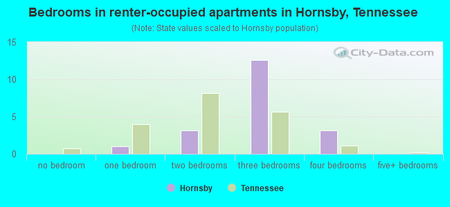 Bedrooms in renter-occupied apartments in Hornsby, Tennessee