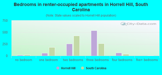 Bedrooms in renter-occupied apartments in Horrell Hill, South Carolina