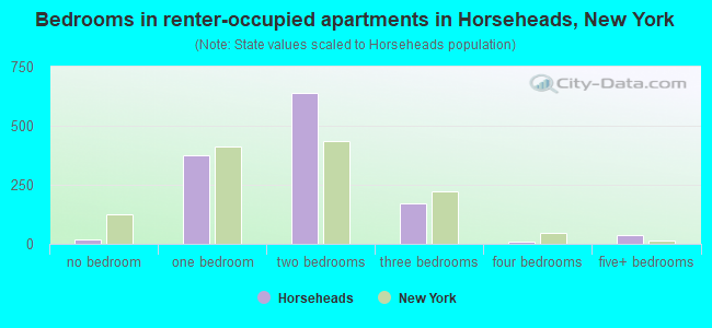 Bedrooms in renter-occupied apartments in Horseheads, New York