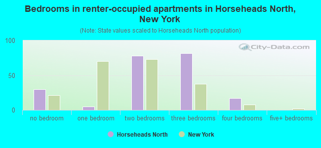 Bedrooms in renter-occupied apartments in Horseheads North, New York