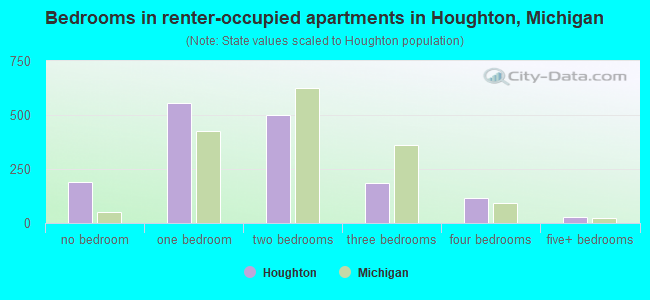 Bedrooms in renter-occupied apartments in Houghton, Michigan