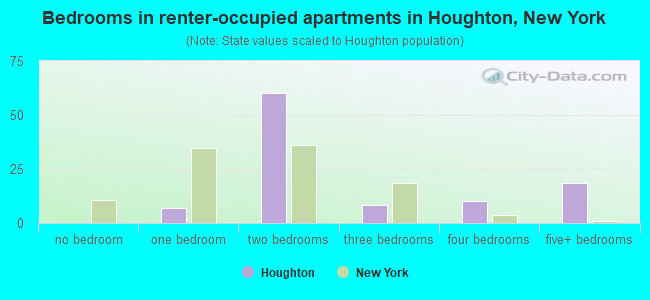 Bedrooms in renter-occupied apartments in Houghton, New York