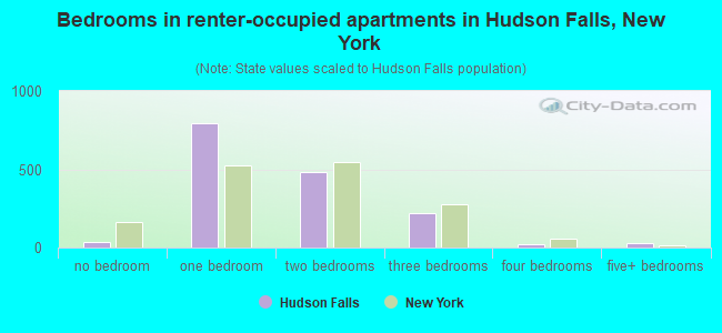 Bedrooms in renter-occupied apartments in Hudson Falls, New York