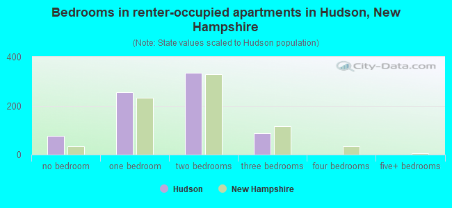 Bedrooms in renter-occupied apartments in Hudson, New Hampshire