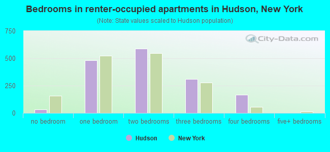 Bedrooms in renter-occupied apartments in Hudson, New York