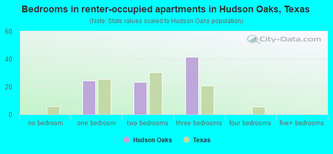 Bedrooms in renter-occupied apartments in Hudson Oaks, Texas