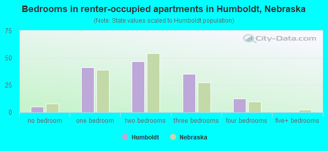 Bedrooms in renter-occupied apartments in Humboldt, Nebraska