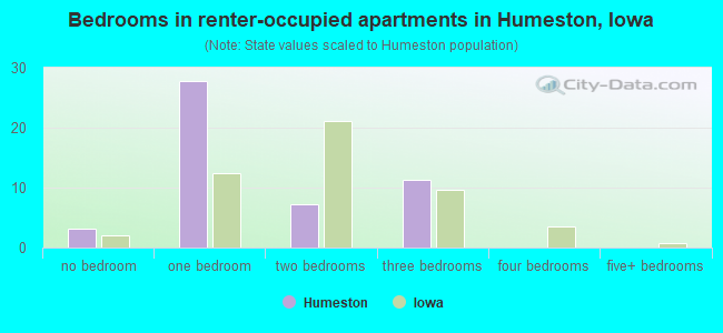 Bedrooms in renter-occupied apartments in Humeston, Iowa