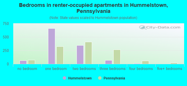 Bedrooms in renter-occupied apartments in Hummelstown, Pennsylvania