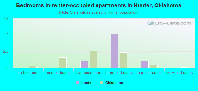 Bedrooms in renter-occupied apartments in Hunter, Oklahoma