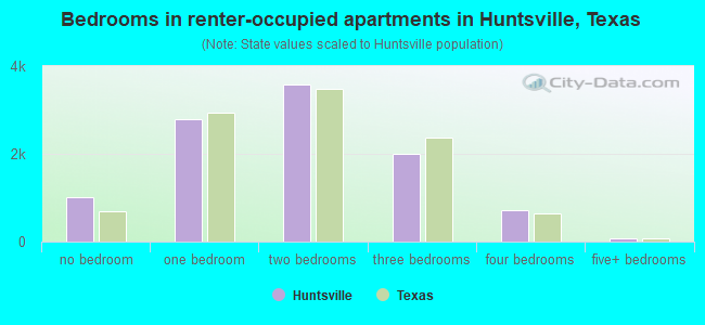 Bedrooms in renter-occupied apartments in Huntsville, Texas