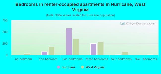 Bedrooms in renter-occupied apartments in Hurricane, West Virginia