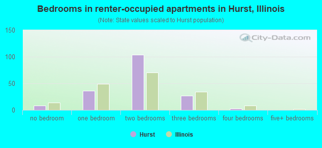 Bedrooms in renter-occupied apartments in Hurst, Illinois