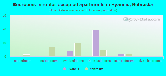 Bedrooms in renter-occupied apartments in Hyannis, Nebraska