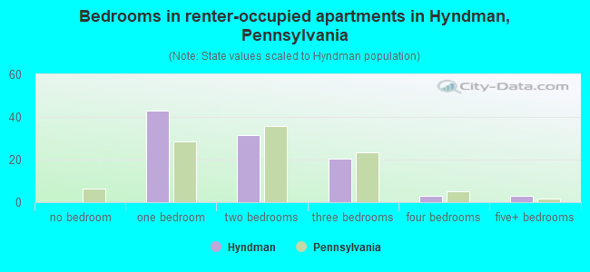 Bedrooms in renter-occupied apartments in Hyndman, Pennsylvania