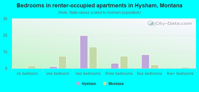 Bedrooms in renter-occupied apartments in Hysham, Montana