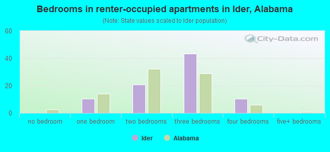 Bedrooms in renter-occupied apartments in Ider, Alabama