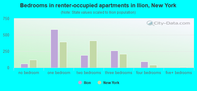 Bedrooms in renter-occupied apartments in Ilion, New York