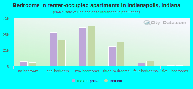 Bedrooms in renter-occupied apartments in Indianapolis, Indiana