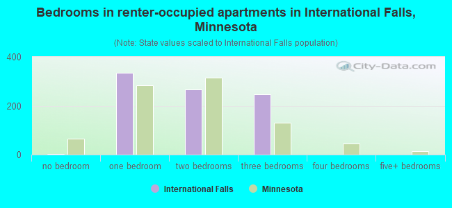 Bedrooms in renter-occupied apartments in International Falls, Minnesota