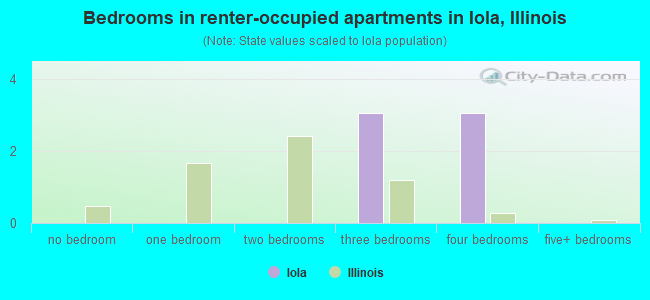 Bedrooms in renter-occupied apartments in Iola, Illinois