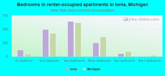 Bedrooms in renter-occupied apartments in Ionia, Michigan