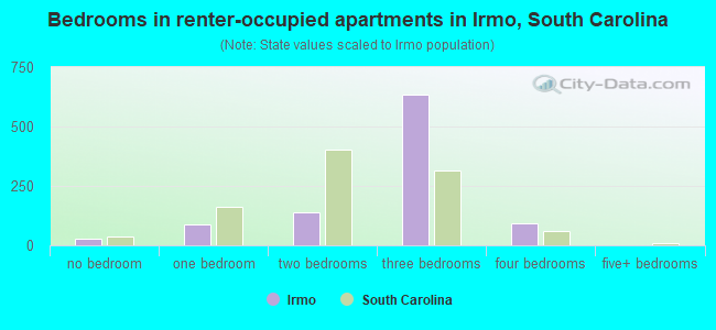 Bedrooms in renter-occupied apartments in Irmo, South Carolina